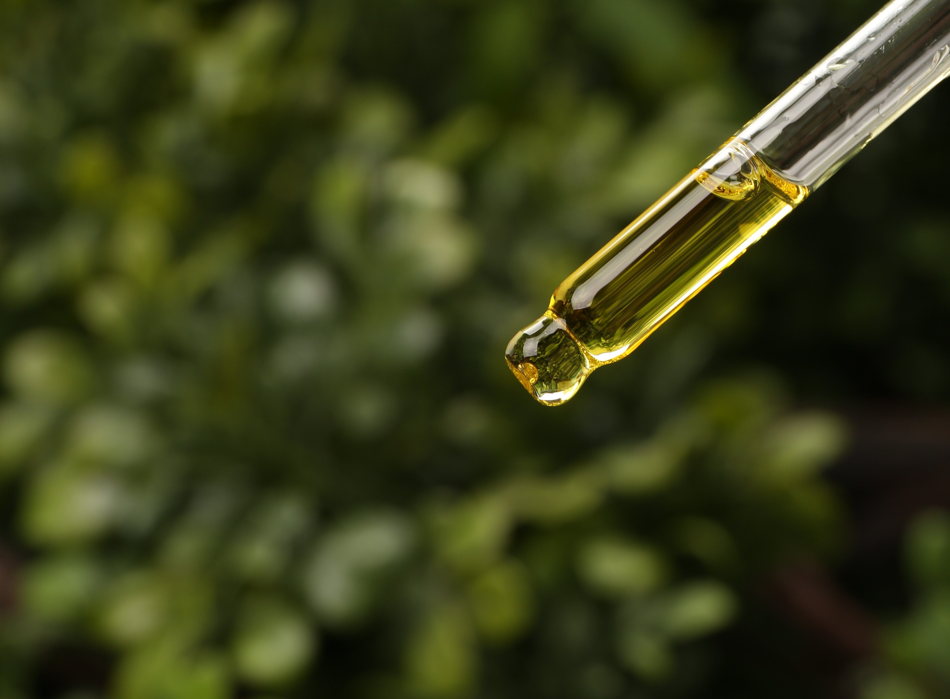 Óleo de Copaíba: O Segredo Natural para uma Pele Saudável