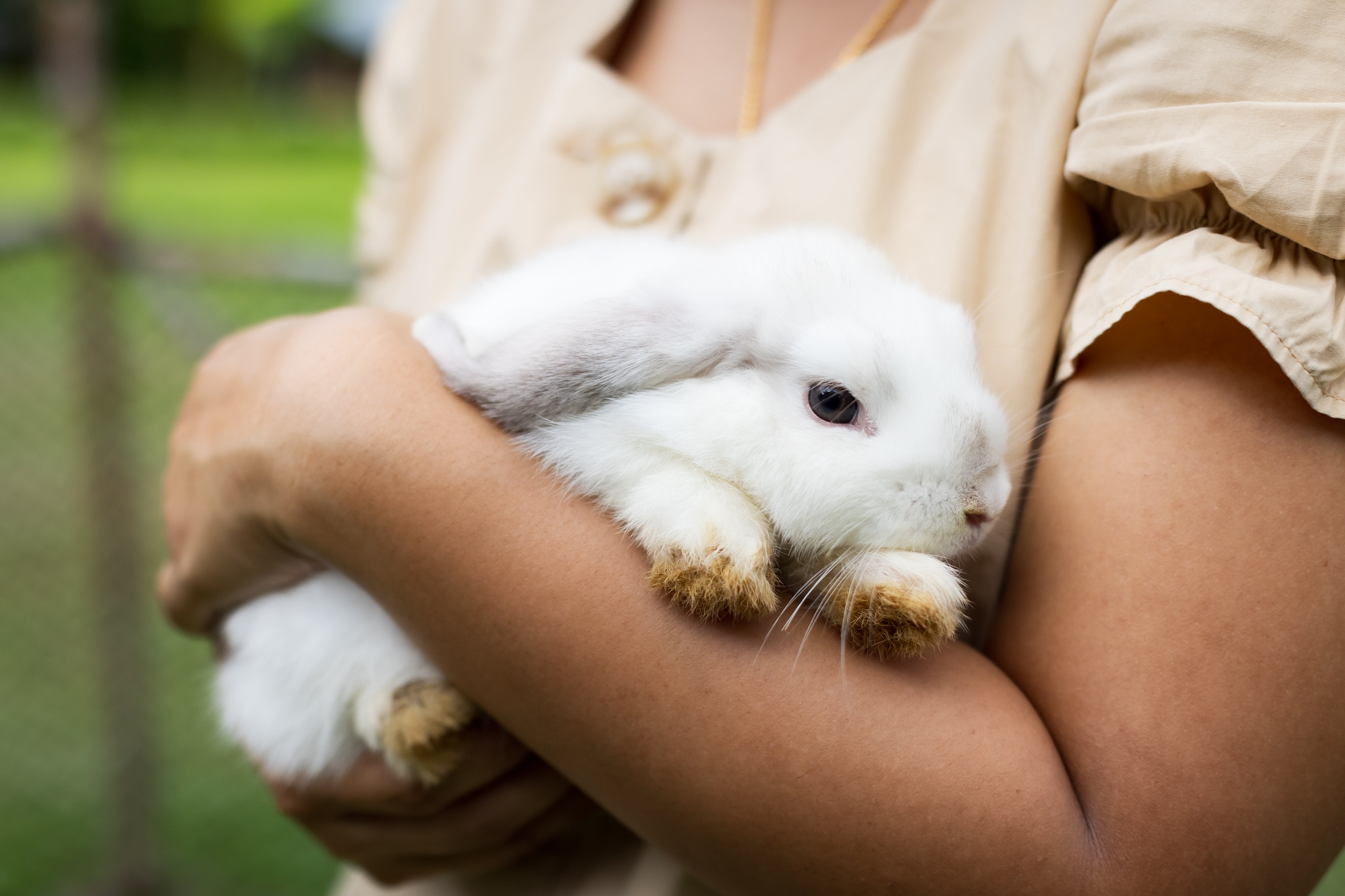 The Oil Shop é Cruelty-Free | Cosméticos sem testes em animais